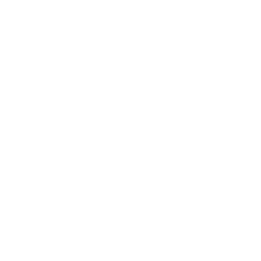 藏品管理系统